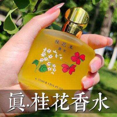 经典老牌2099桂花王先生茉莉玫瑰