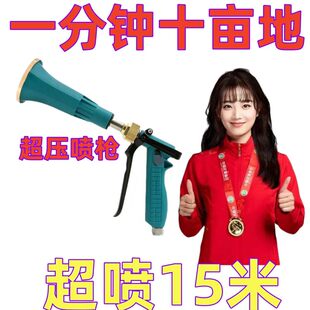 进口雾化打药机喷枪台湾农用电动喷雾器高压柱塞泵果树喷雾水枪