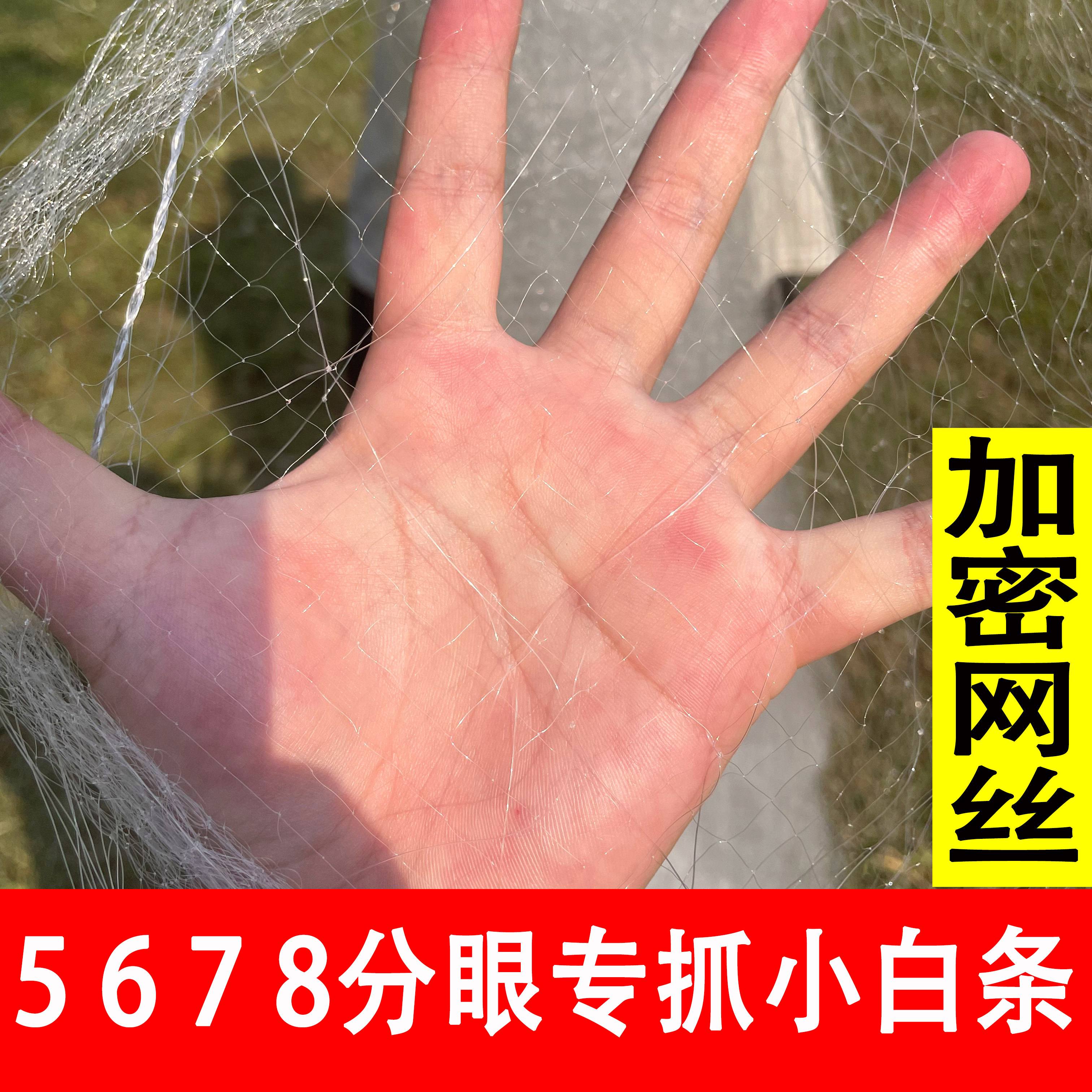 密网5分6分7分8分1指小网眼鱼网粘网丝网小白条鱼三层渔网捕鱼网