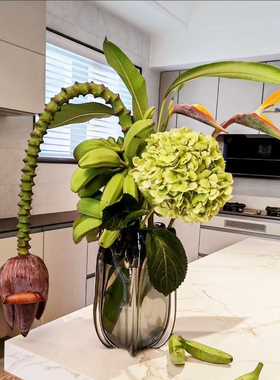 带花芭蕉香蕉鲜切水养办公室绿植禁止焦虑鲜花水培极简法式高级感