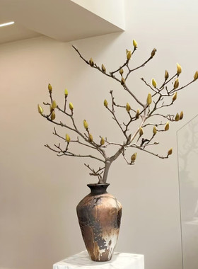 白玉兰花干支真花中式干花树枝插花摆设软装橱窗造景酒店宅寂风