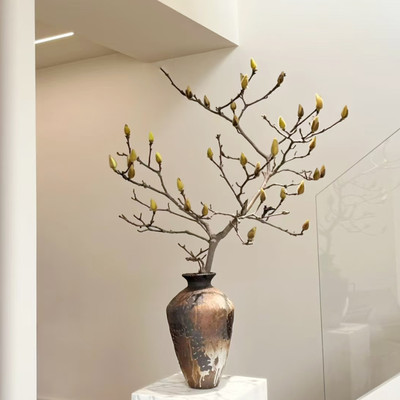 白玉兰花干支真花中式干花树枝插花摆设软装橱窗造景酒店宅寂风