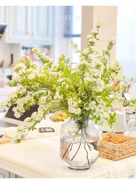 小手球花绣线菊鲜花鲜切花家居瓶插花水养绿植花家用节日送女朋友