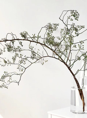 山归来鲜切花水培好养高级侘寂风摆件植物客厅摆设可做干花绿果