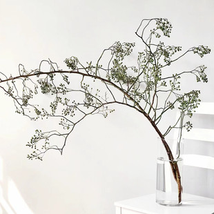 山归来鲜切花水培好养高级侘寂风摆件植物客厅摆设可做干花绿果