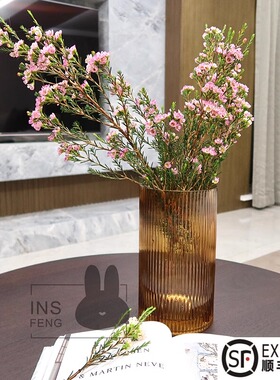 insfeng澳洲腊梅鲜A级切鲜花水培枝条花卉水养绿植【推荐好养】