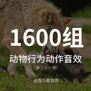 鸟类动物昆虫动作音效包翅膀声脚步声撕咬坠落移动攻击觅食的声音