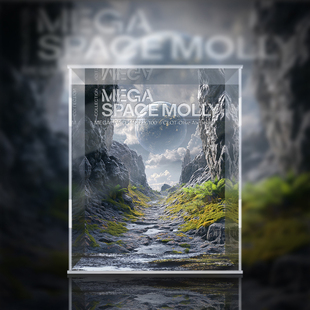 POPMART泡泡玛特 MOLLY 100% 凝结集团系列 芦荟绿荆棘