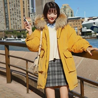 Cotton 2018 mới dành cho nữ mùa đông phiên bản Hàn Quốc của đoạn dài quần dài cotton dày hoang dã phụ nữ phục vụ bánh mì - Bông áo phao gile nữ