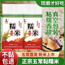 五常糯米包粽子专用米小包装 真空酿酒打糕圆粒粘米江米东北黑龙江