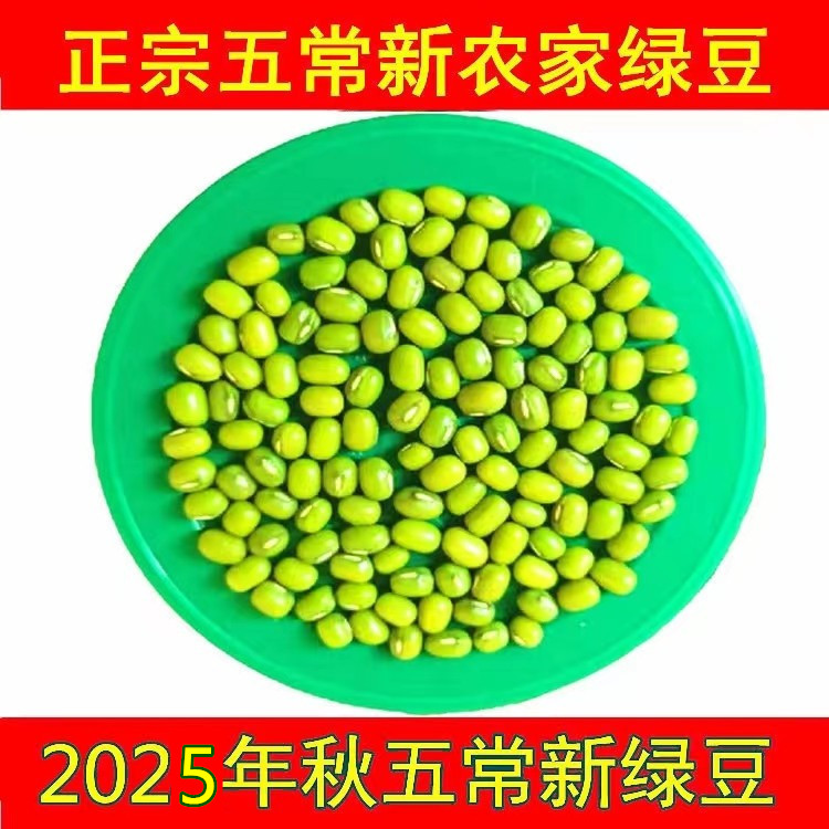 绿豆新货生豆芽专用绿豆粥东北