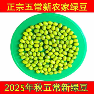 老兵米店新鲜东北五常绿豆粥绿豆发豆芽专用农家新货500g小包装