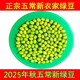 老兵米店新鲜东北五常绿豆粥绿豆发豆芽专用农家新货500g小包装