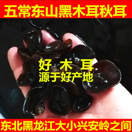 老兵米店2025东北五常山珍特产黑木耳250g干货凉拌秋木耳无根肉厚
