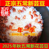 老兵米店新鲜东北黑龙江五常花芸豆500g种籽子饭豆农家自产真空