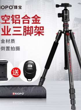捷宝（TRIOPO) T258+D-2 微单相机三脚架 轻便携单反相机三角架 投影仪支架 专业稳定三脚架云台套装
