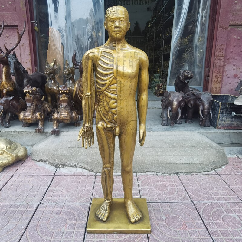 黄铜针灸人模铜人体经络图摆件中医药医馆诊所经络针灸穴位铜人