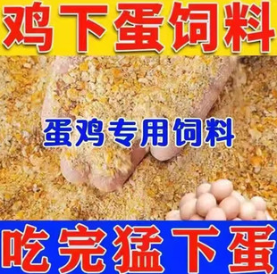 产蛋鸡饲料全价料喂鸡玉米碎粒下蛋鸡中大鸡家用鸡食鸭鹌鹑鸡饲料
