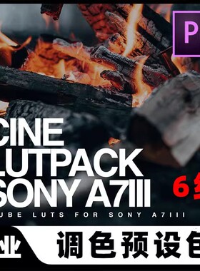 CMG A7m3/a6300 a6500索尼CINE LUTs电影级调色滤镜包vlog大师