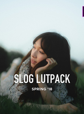 AUXOUT日本大师SLOG2 SLOG3视频调色LUT索尼PR FCPX 预设包