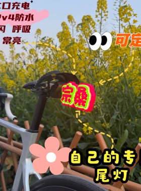 公路车立体灯牌自行车发光尾牌定制发光号码牌