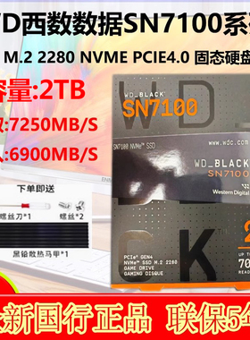 WD/西部数据SN7100 2T M.2 NVMe PCIE4.0 SN570 SN580 固态硬盘