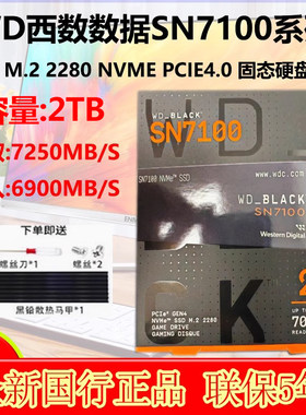 SN71002TM.2固态硬盘西部数据