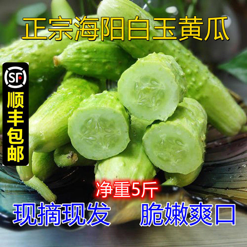 白玉黄瓜脆甜爽口新鲜图片