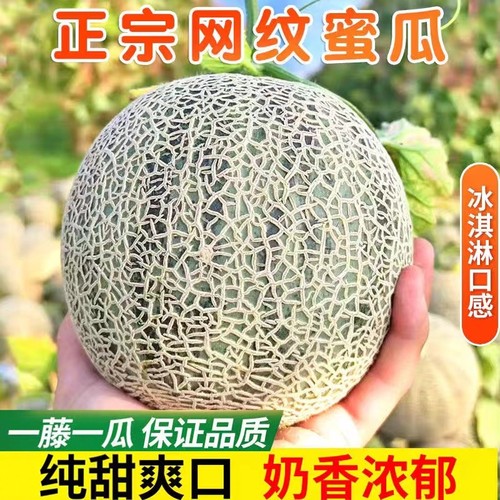 现货冰淇淋网纹蜜瓜软糯香甜