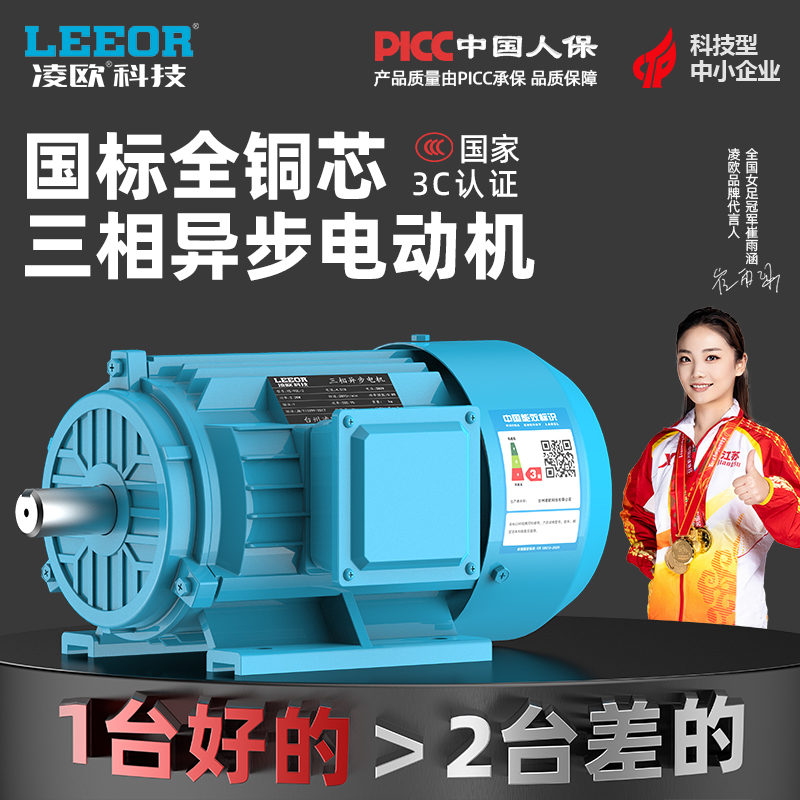LEEOR凌欧三相异步电机