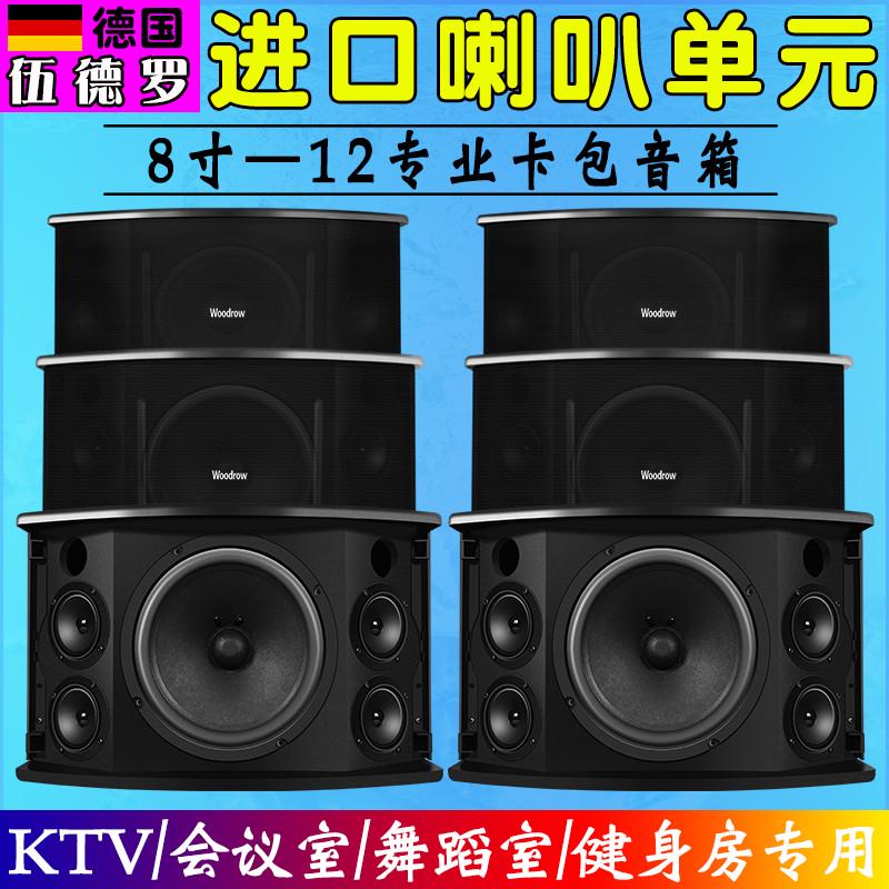 德国伍德罗家庭ktv卡拉OK专业音箱进口喇叭会议舞蹈室健身房专用