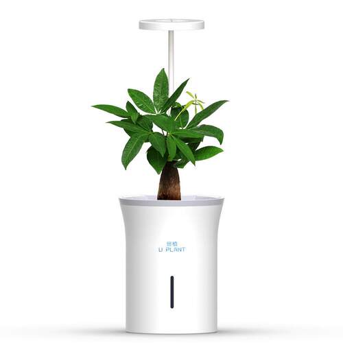 植物灯光照悠植智能花盆家用办公室款蔬菜花卉种植机