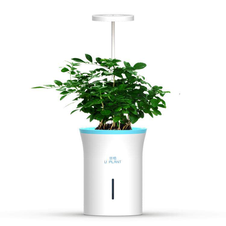 蔬菜款悠植智能花盆家用办公室光照植物灯花卉种植机