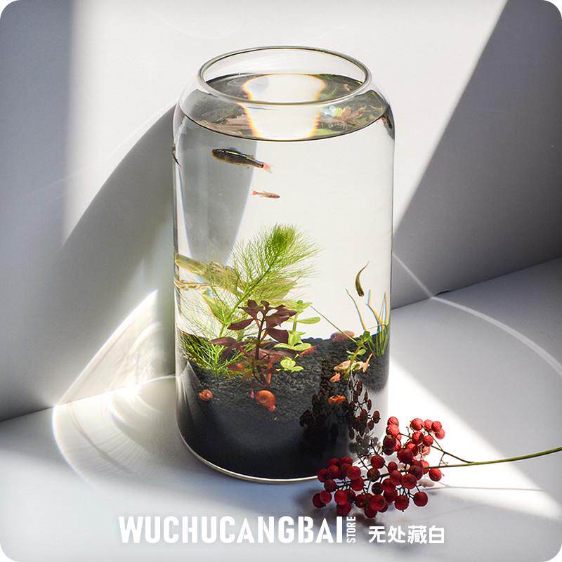 生态瓶中桌面小鱼缸鱼虾螺微景观生日情侣礼物DIY作业免换水