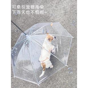 透明雨伞遛狗伞大号狗狗专用宠物雨伞宠用品可调节雨天遛狗牵引绳