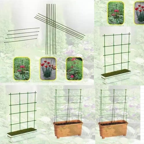 直径光面包塑10根起售另拍兰花