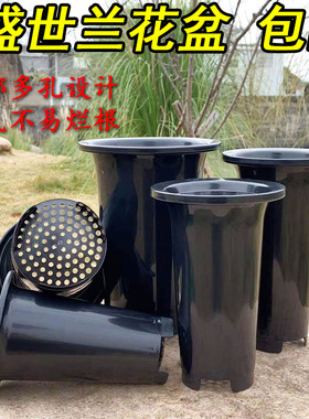 盛世兰花盆兰花专用盆树脂塑料加厚控根透气排水蕙兰盆绿植花缸
