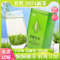 茗然信阳毛尖2024新茶茶叶特级绿茶嫩芽春茶清香回甘自己喝送礼