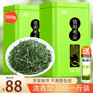 2024新茶雨前信阳毛尖500g