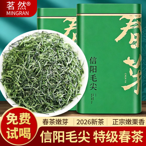 茗然特级信阳毛尖绿茶