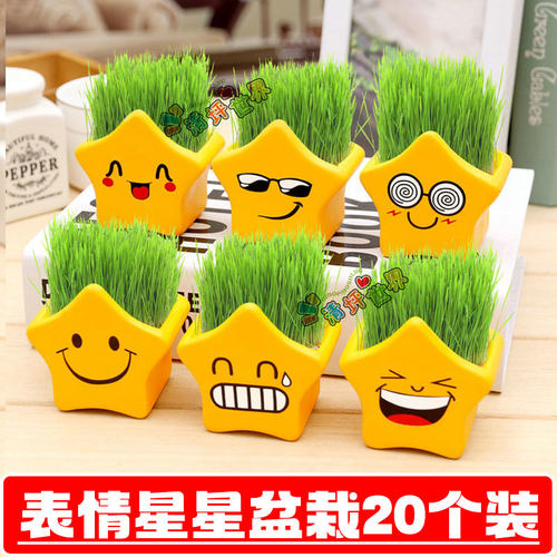 幼儿园星星盆栽学生开学小礼品