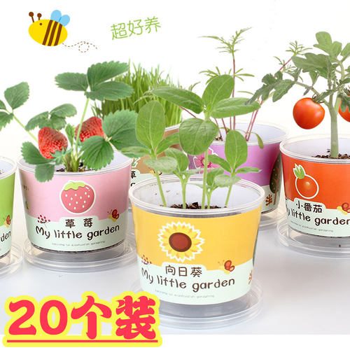 实用手工种植盆栽创意地摊玩具