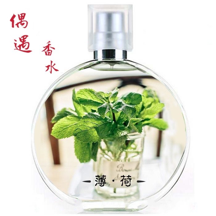 偶遇私家薄荷味香水 男女士小众香水