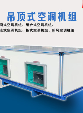 吊顶式新风空调机组净化型新风换气系统空气过滤处理机组商用工厂