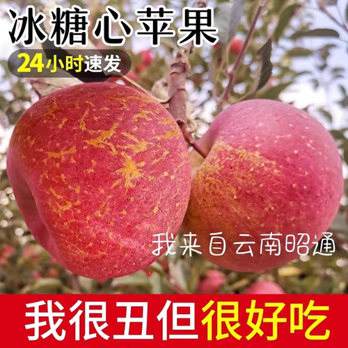 昭通丑苹果