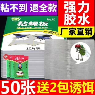 苍蝇贴强力粘苍蝇纸粘蝇板药沾蚊杀手捕捉器灭蝇子神器一扫光家用