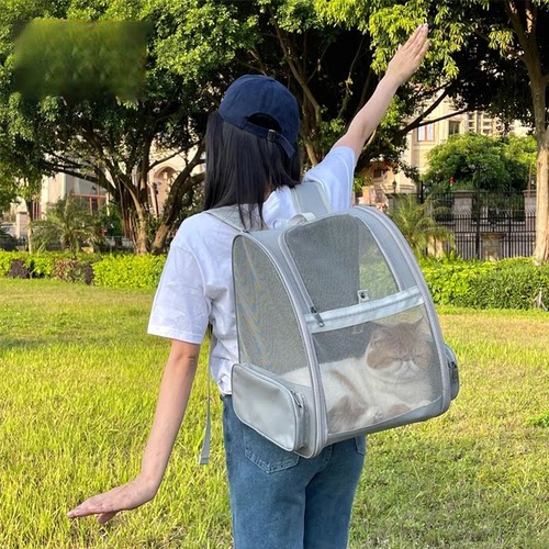 宠物背包外出双肩便携透气装两只猫咪大容量外带包夏天狗狗书包