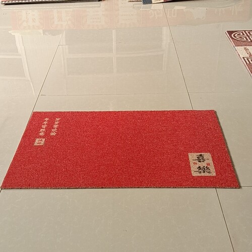 新丝圈地垫60*90厘米
