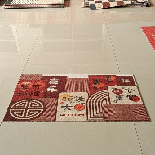 新丝圈地垫60*90厘米