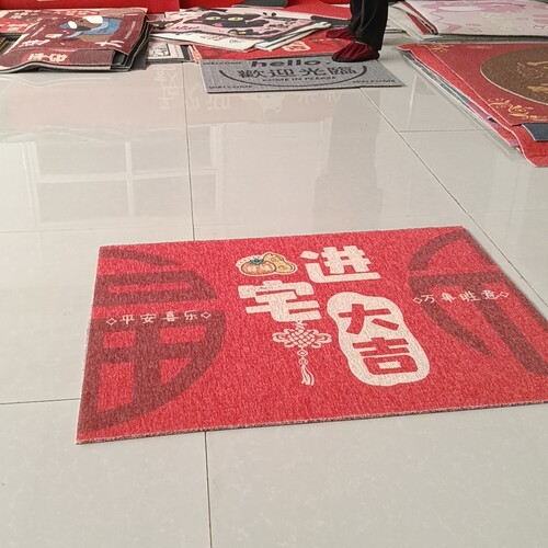 高弹加密丝圈地垫80*100